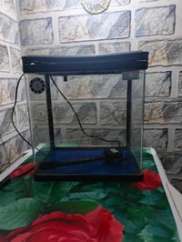 حوض سمك • ٣٠×٣٠ • قليل الاستعمال