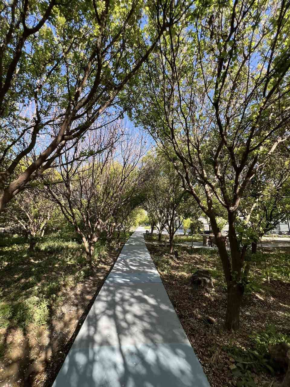 🌳—مزرعة الظِلال—🌳🌴
 مسبح حار بارد 🏊‍♂️ vip
موثقة بتطبيق اجرلي ✔️ 
المزرعة 🏡جديدة ونظيفة  💯
العنوان  بغداد التاجي 📍
للاستفسار واتساب ‭📱0771 319 5374‬
