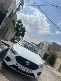ام جي زد اس • ٢٠٢٠ • صبوغ