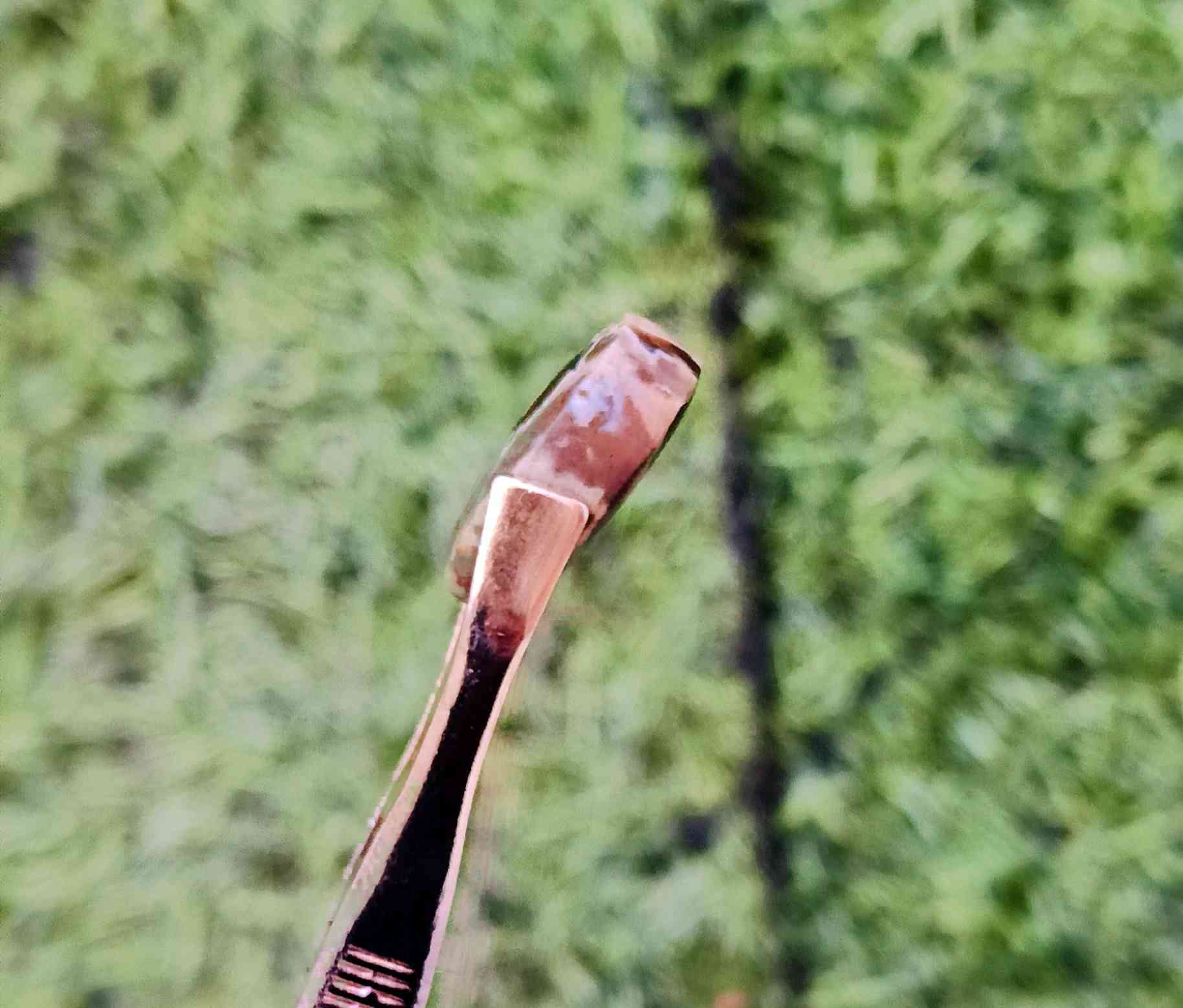 عقيق يماني ذمه وطبيعي طحلبي مصور

للبيع بـــــ 15ــــ***********واتساب
