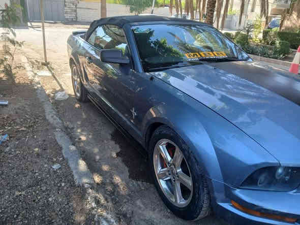 سلام عليكم اخوان موستنك موديل 2007 كفاله عامه من مكينه وكير واكسل من ضربه اوصبغ السيارة للبيع عارضها 65 وبيها مجال بسيط مكاني الدوره زراعي العبيدي ***********
