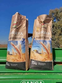 حنطة ثريا ألماني • مكيس • كركوك طوبزاوه