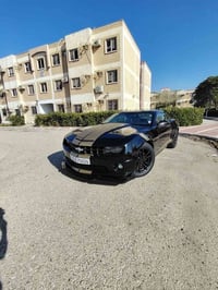 كمارو • ٢٠١١ • وارد امريكي