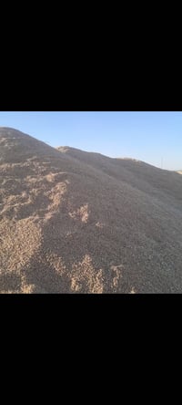 بذور باجران • جيل ثاني • ٥٠ طن