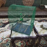 قفص بلبل • للبيع • الحسينية