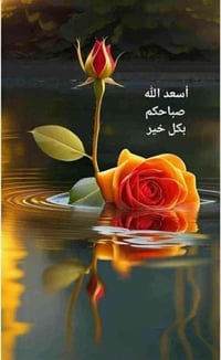 مكتب توصيل الحلة • بريد الفرات الأوسط • توزيع أقضية ونواحي