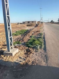 حله ديوانيه • طابو زراعي • ٢٠٠٠م