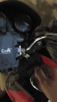 بوكسر 22 • دراجه تراي • لوحة باسمي