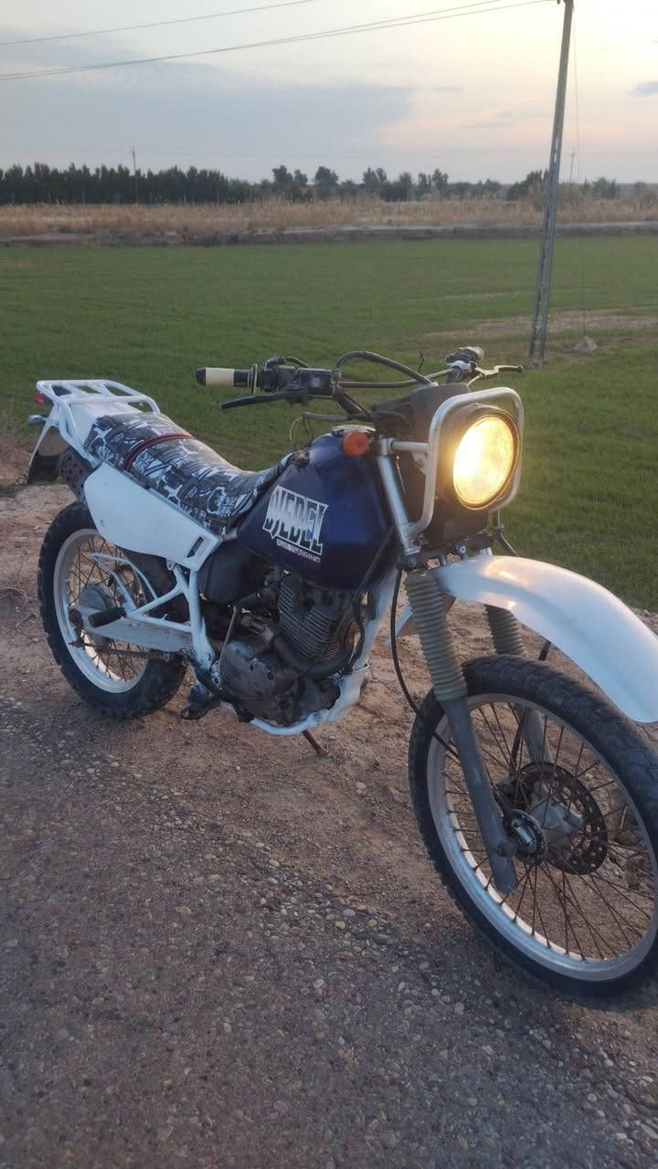 اسلام عليكم قفاز دجبل كلشي شغال بي امكان العماره سعر 1250 وبي مجال ***********
