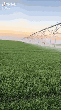 ارض زراعيه في النباعي جزيرة الكرمه 
لارض تبعد عن مستودعات المشاهدة 5 كيلو وعن طريق التاجي العام نص ساعه المساحه 120 دونم مباشرتا مع سور بغداد انبار لارض يمتد وياها نهر صب مي حلو او واصلها كهرباء ومحفور بيها بيرين بير ارتوازي وبير جمه سعر الدونم  1.500 مليون ونص  لاستفسار 
***********
***********
***********
