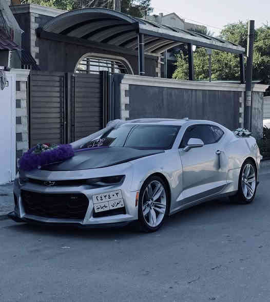 سلام عليكم 🫡 بيع او مراوس اقره للاخير
شوفرليت كمارو 2017 وارد امريكي السياره سبعينيه مختمه كلها بيها 3 قطع صبغ علشرط ( شواصي + لغود + تكم + قماره + حوض ) اكفلهن من الشخط وين ميعجبك افحص مكينه وكير برغي ممفتوح بيهن مكينه 3600 شرط شلعه تشك الكاع ودبات بورلا وبرمجه سيفتي المواصفات 
1.تشغيل عن بعد + بصمه 
2.كشنات جلد + كشنات كهرباء ثنينهن 
3.كشنات تدفئه وتبريد وستيرن تدفئه
4.شاشه اكبر حجم + كار بلاي 
5.سستم سماعات بوس + شفتات ستيرن
6.تحكم ستيرن اربع جهات + شفتات
7.انضمه قياده 3 + مانع انزلاق 
8.تحديد مسار + شاشه اعطال السياره فول الفول عده الفتحه اخوان كلشي موضح بلمنشور السياره بشرط صدرها امامي خلفي جديد اذا بيها طكه بصدر ترجع السياره تبريد ثلج جاهزه عل اخر حبايه تحويل ثاني يوم سنويه مساقطه السعر 120  وبيها مجال بسيط الميعجبه ختولي يلكه الاحسن منها كلشي اكو بلسوك 🖤 
*********** اتصال فقط 
*********** واتساب فقط 
اسف عل اطاله 🖤
