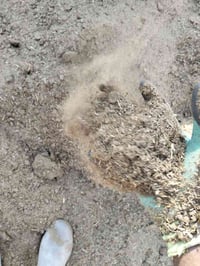 متوفر دمن حيواني اخوان دمن نضيف ويابس وناعم وحته دغل ميطلع بي لان مال ...