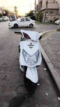 سكنس فحل للمراوس او البيع سعر 700   🏍️🏍️🏍️🏍️ نوزل خطين  (كوري) قبق (مس...