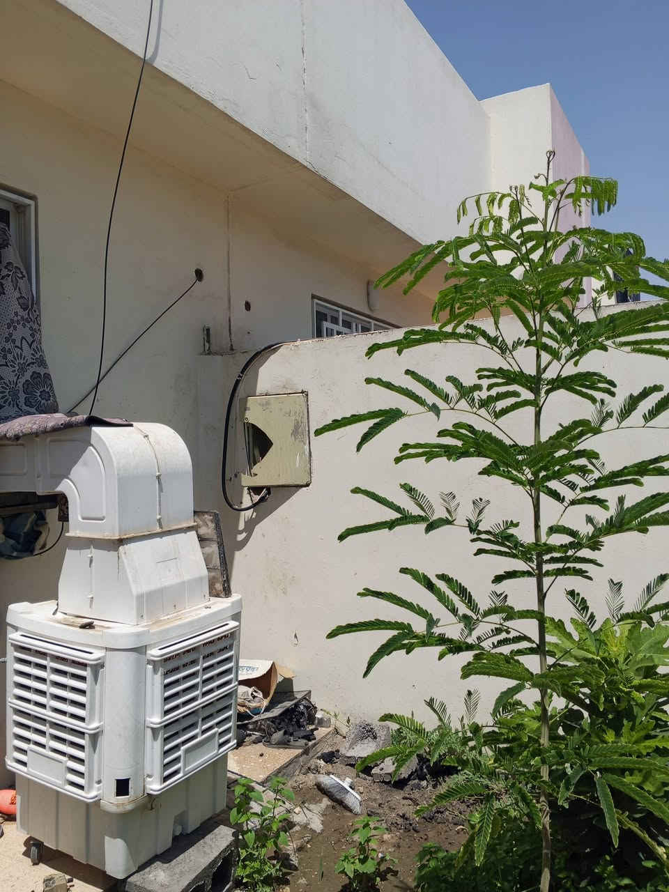 كنفيرا نضيفه كلش الهوى ثلج بشرط بس محتاج واريد ابيعها السعر 250
رقمي مال واتساب ***********مكاني الامن الداخلي
