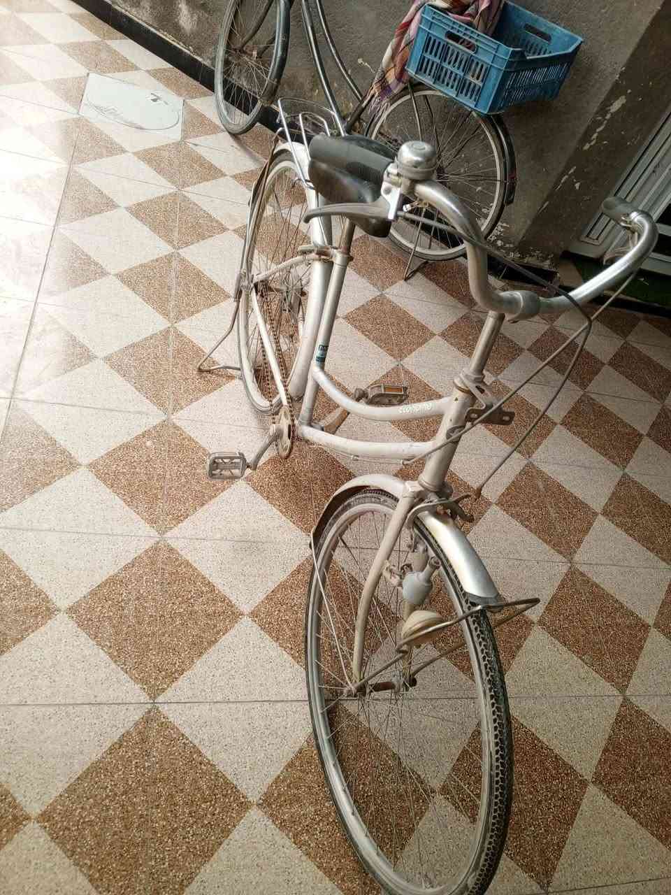 باسكل موزه للبيع حجم27 نضيف كلش مابي شي السعر خاص مكان سماوه


**إذا كنت صاحب هذا الإعلان وتريد حذفه لأي سبب، رجاءا أرسل رسالة إلى الدعم الفني**