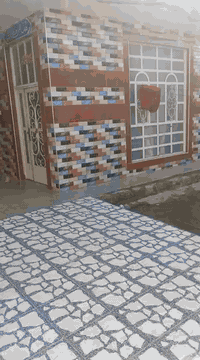 بابل الحله • طابو زراعي • ٢٥٠م