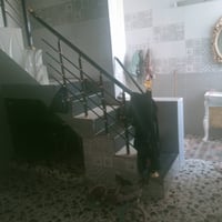 نهايته ابو دشير • ١٠٠م • سند ٢٥