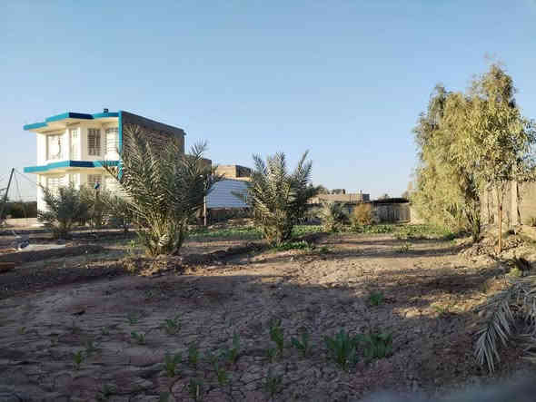 السلام عليكم مزرعة مع بيت طابو زراعي سند 25 مساحة المزرعه 1300م والبيت 100م العنوان طريق حلة نجف 
للاستفسار اكثر الاتصال على الرقم *********** بي واتساب
