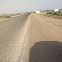 الصويره • ٦٥ دونم • سند زراعي