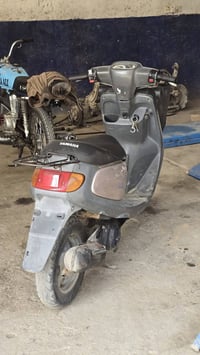 منغولي حاوية • كربلاء البوبيات • مبادلة بدراجة