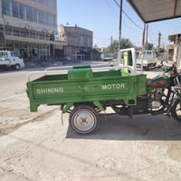 ستوته للبيع • ستوته نظيفة • ستوته مكفولة • ستوته الحلة • ستوتة