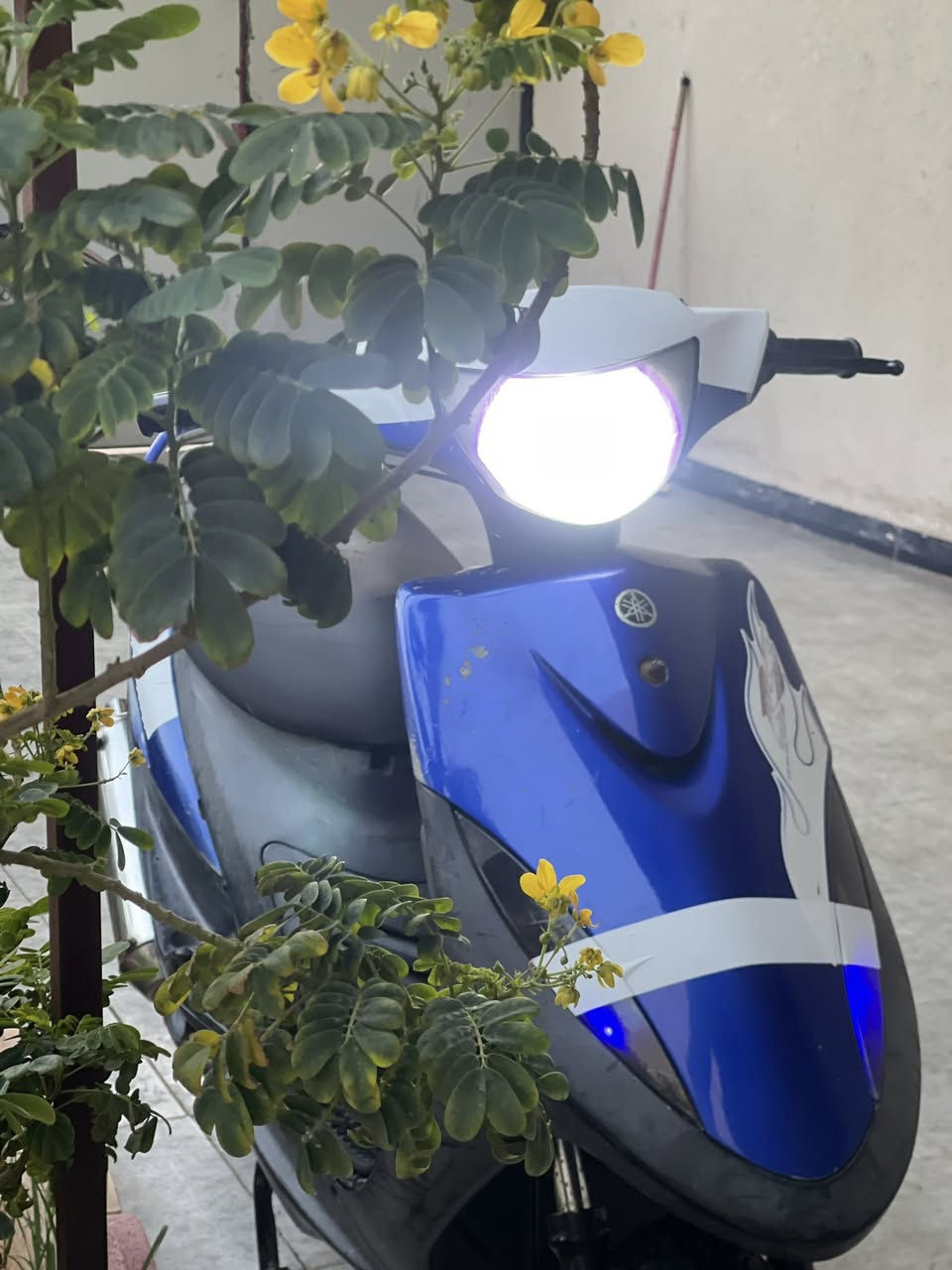 السلام عليكم ماكس عدله جارده لون ازرك مامفتوحه بوشه 49 كلهه بلاديه الدراجه فول نضافه والله تاخذهه ماتذب عليهه شي اليوم بدلتلهه تاير كدام جديد تاير وره جديد كلشي شغال بيهه كهربائيات لايت عالي ناصي رماش سكنات اشاير هورن بس السلف امس احترك عندي والله جانت نص نكره من كد مالمكينه قويه كزوز رياضي RZ شرط طكه وفصله ونار المكان بصره ابي الخصيب السعر ٧٥٠ وبيهه مجال الرقم ***********
