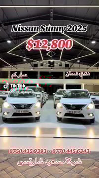 صني • ٢٠٢٥ • ممشا صفر