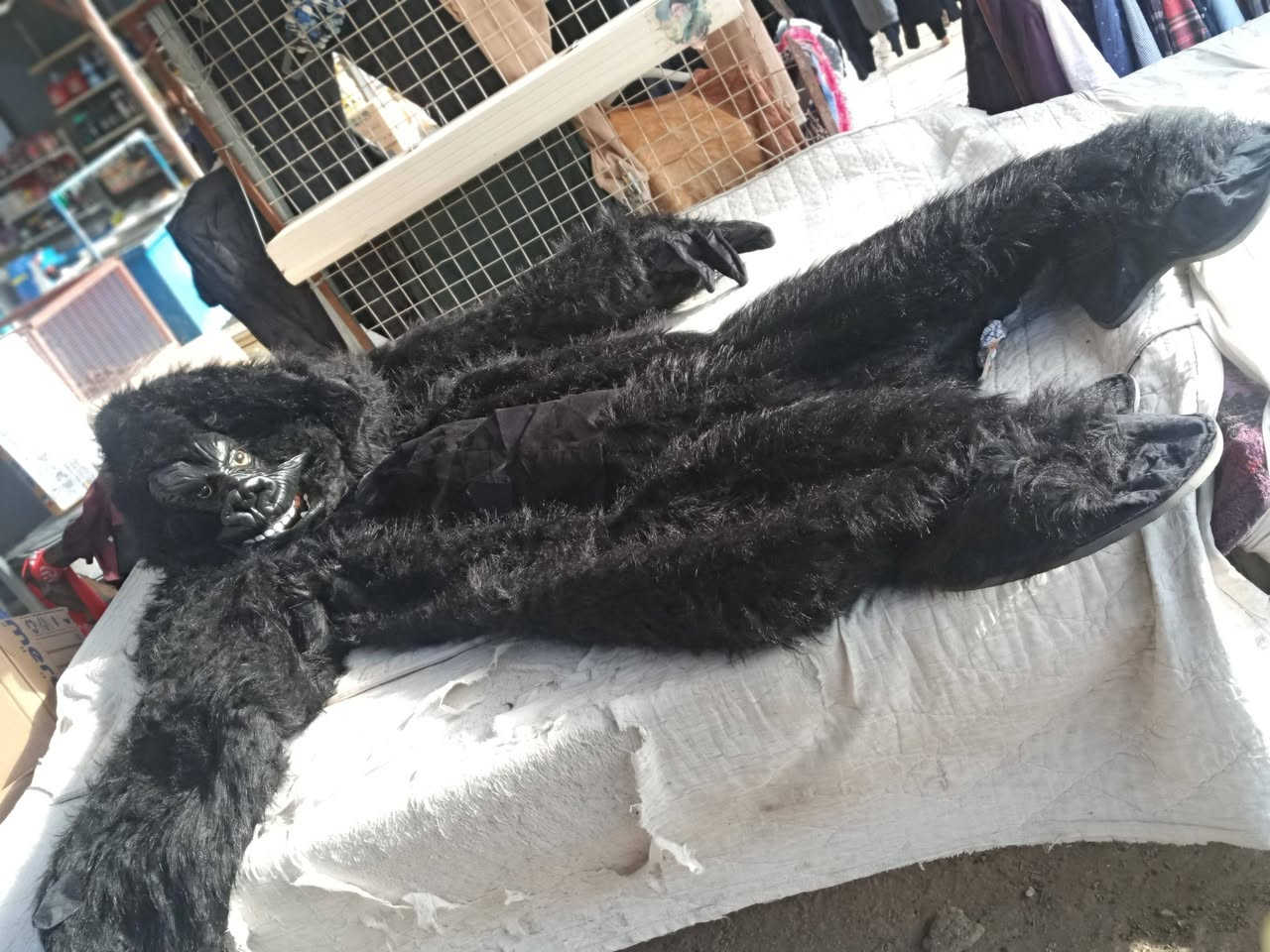 تلبيسه كامله غورله ***********
