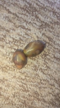 احجار • ما أعرف نوعها • البصره