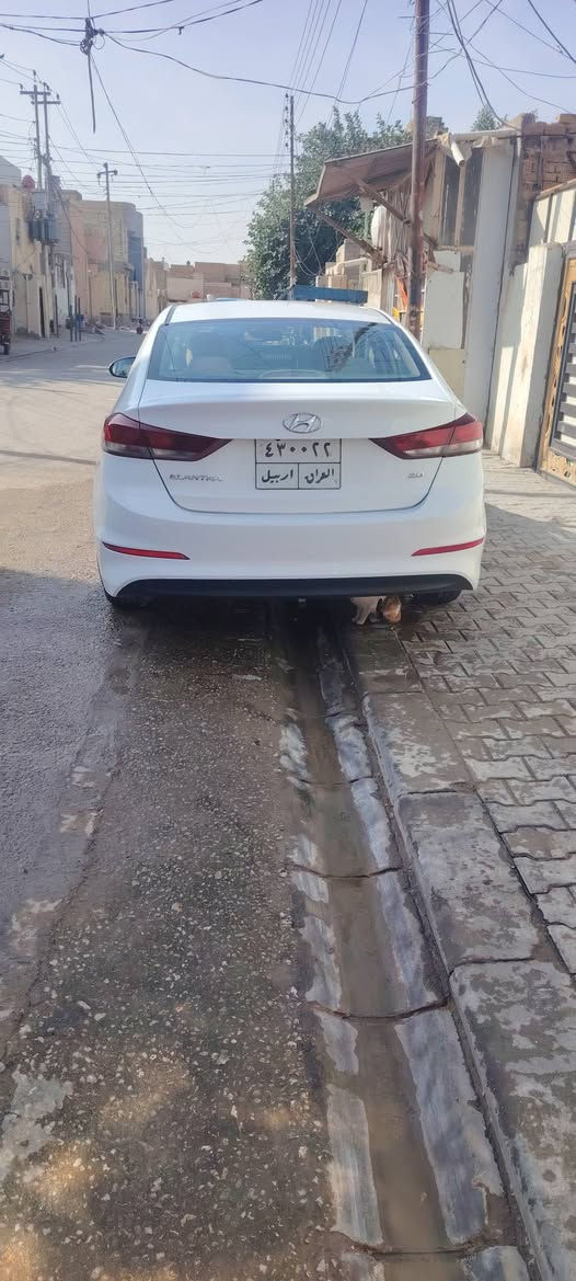 النترا مديل 17 خليجي مكينه 2000بيه صبغ باب سايق مراوس اب سوناتا 18 أو 19 مع فرق ***********
