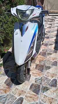 ياباني • شلعة • معدل كهربائيات