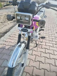 تايكر 4كير • ٢٠٢٥ • اوراق كامله