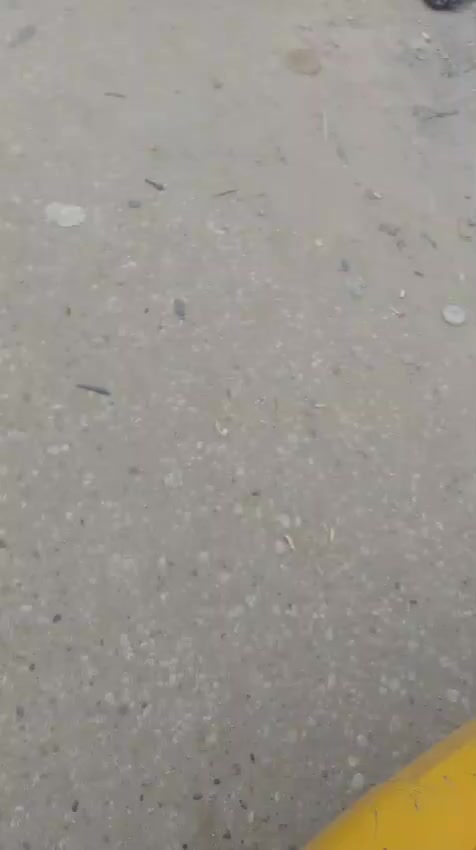 قطعه ارض للبيع كربلاء حي العسكري العابد قطعه خلف شارع السوق ***********الاتصال
