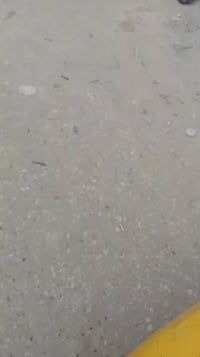 كربلاء • العسكري العابد • ٢٥٠م