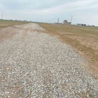 زراعي • مرب سيد غازي • ٢٦٠م