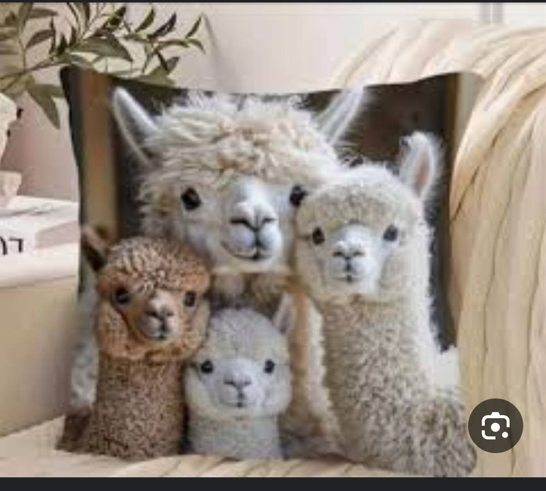 اي قطعة داخل المنشور على الف دينار يوجد توصيل داخل الحسينية والمناطق لمجاورة


**إذا كنت صاحب هذا الإعلان وتريد حذفه لأي سبب، رجاءا أرسل رسالة إلى الدعم الفني**