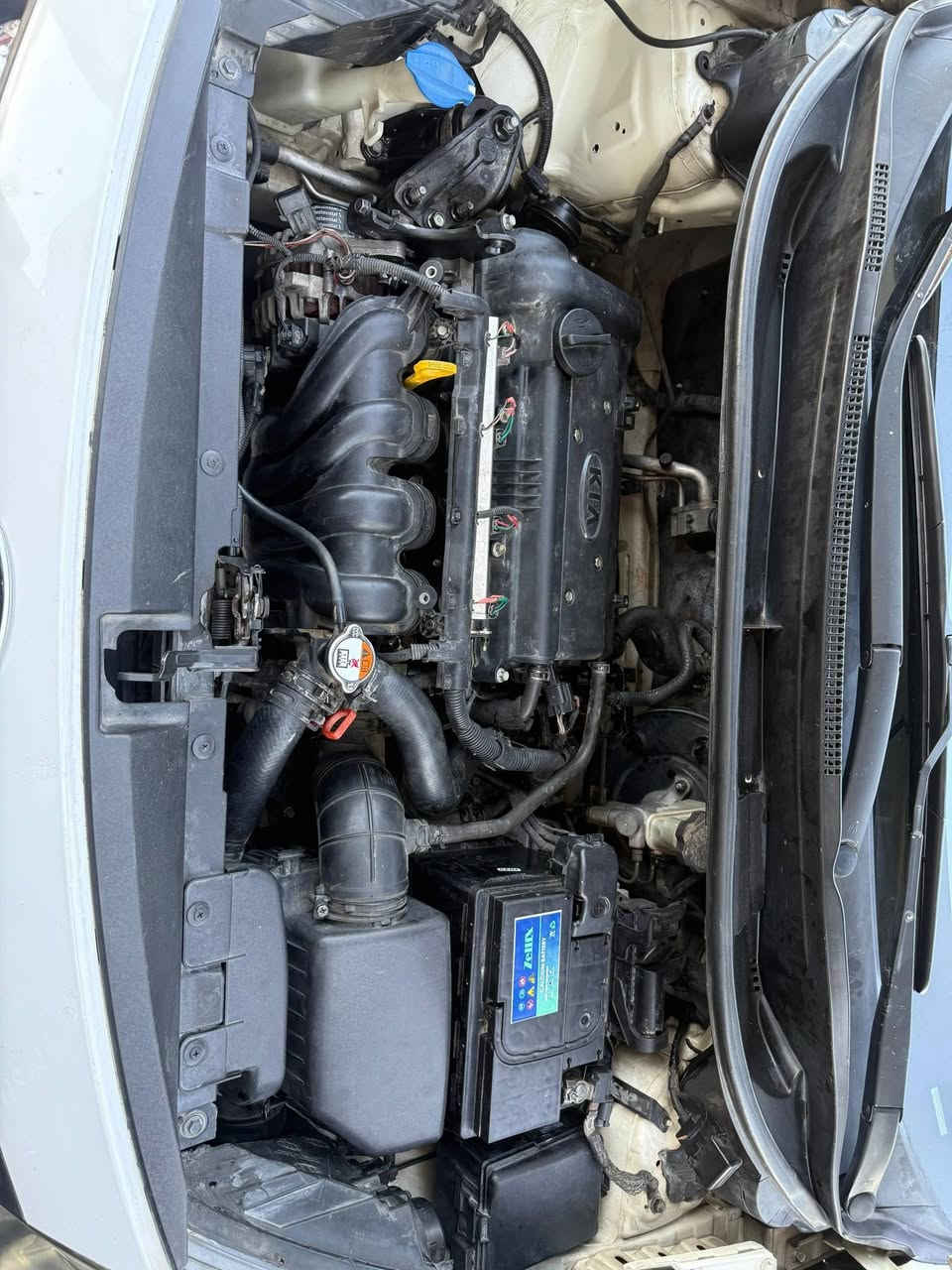 للبيع كيا ريو موديل 2012 خليجيه محرك 1600 دبل قطره سياره بدون ضربه وبدون صبغ سياره جديده مال بيت ماشيه 123 الف قابل للزياده داخل لونين تبريد تدفئه كله شغال صدر جديد كير اوتوماتك رقم بغداد الدولي باسمي هزه جديده سنويه لل 2030 مكان السياره بغداد السعر 92 ورقه وبيه مجال بسيط للاتصال *********** الرقم بي واتساب غير متواجد عل نت رجاءا
