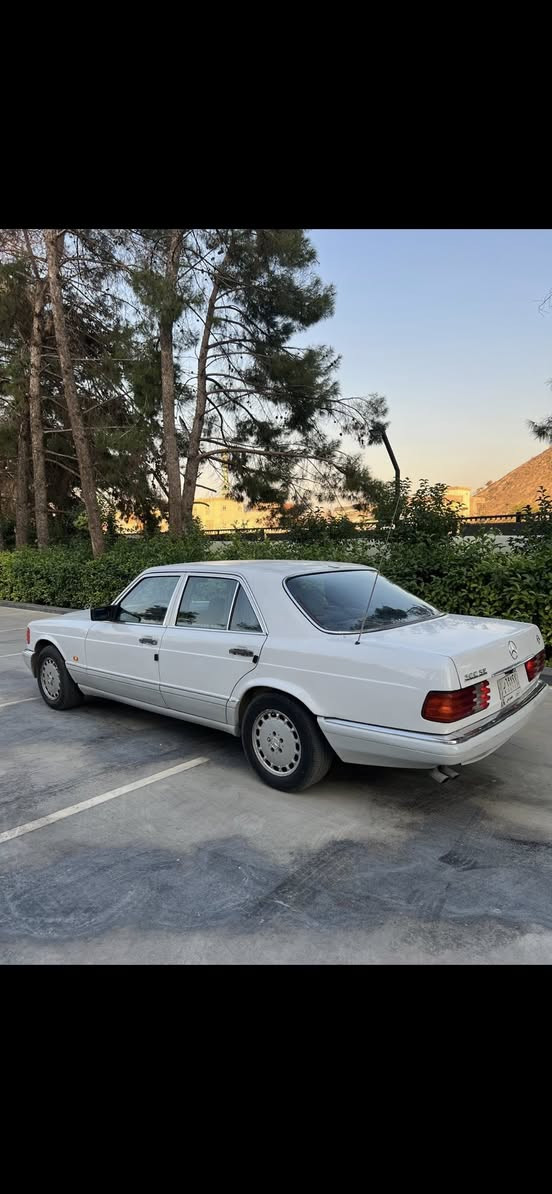 سلام عليكم للبيع مارسيدس رئاسي موديل ١٩٨٩ محرك ٣٠٠ عنكبوت  كير محرك بشرط تحويل غرامات بشرط أربع تايرات جديد بكلايتات جديد جام أمامي جديد باتري و تخم بلاكات  أريل كهربائي و هوا يه شغلات جديد مبدل سعر ٦٥٠٠$ و بي مجال مكان سيا ره دهوك رقم تليفون كورك ***********
زين اسيا ***********
