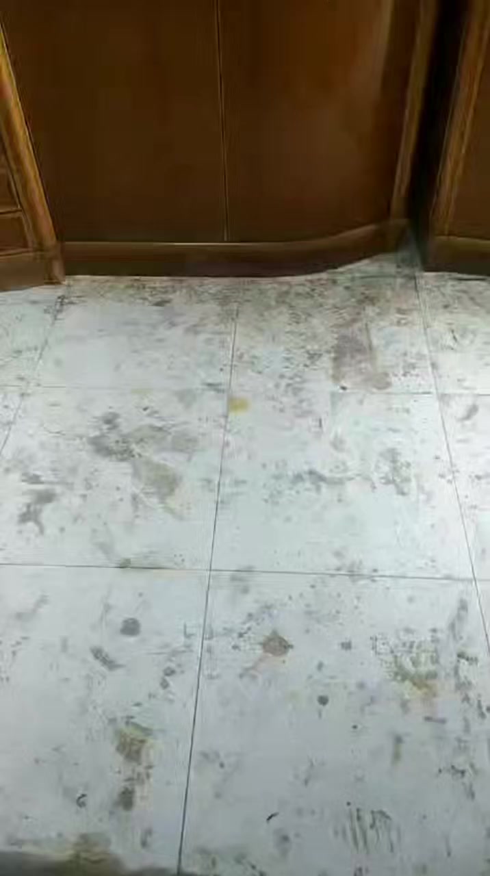 غرفه 6 بيبان ملحق خارج وداخل صاج شغل درجه اولى مستخدم بنضافة 95٪
موديل النفخ موديل الدنك الصاج 

السعر مليون و١٠٠ الف

عنوانا بغداد الأمين الثانيه 
توصيل مجاني داخل بغداد 
يتوفر توصيل للمحافظات 
***********
