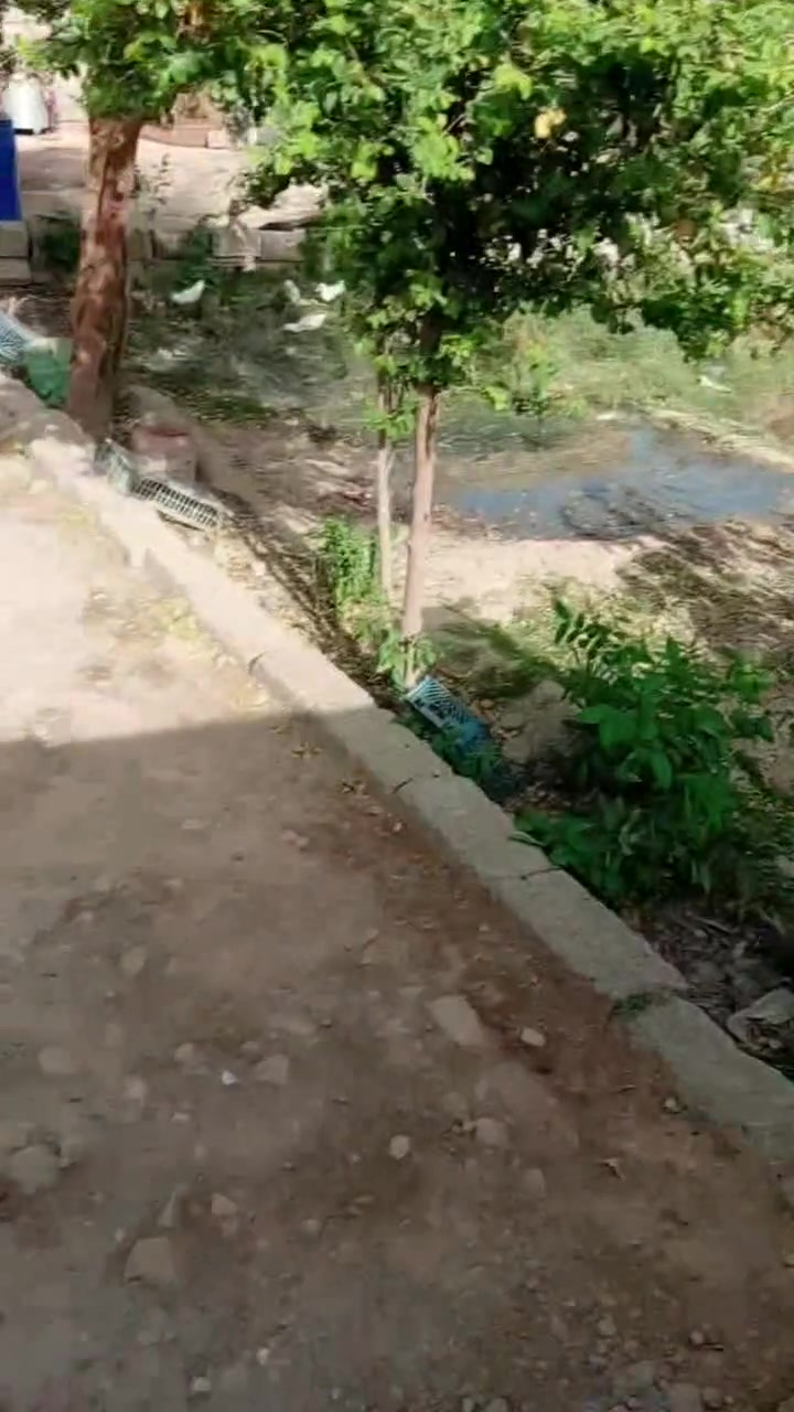 سلام عليكم ورحمت الله بيت وكباله قطعه المجموع كله البيت ولا قطعه600.م المطبخ الخارجي 5,4,ولديوانيه ,5,4,ولصاله ،,4,5,ول قرف نفس شي واسط منطقت البيضاء بل بدايت البيضاء يعني من نوار صدر وتجي البيت وسعر, 45,وبي مجال هاذه رقم ,***********,ونتصل وبيك خير وتدلل

