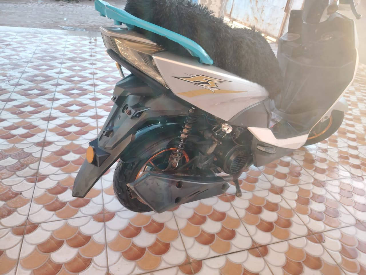 هاي اللبيع الحب يستفسر يجي خاص سعر 350


**إذا كنت صاحب هذا الإعلان وتريد حذفه لأي سبب، رجاءا أرسل رسالة إلى الدعم الفني**