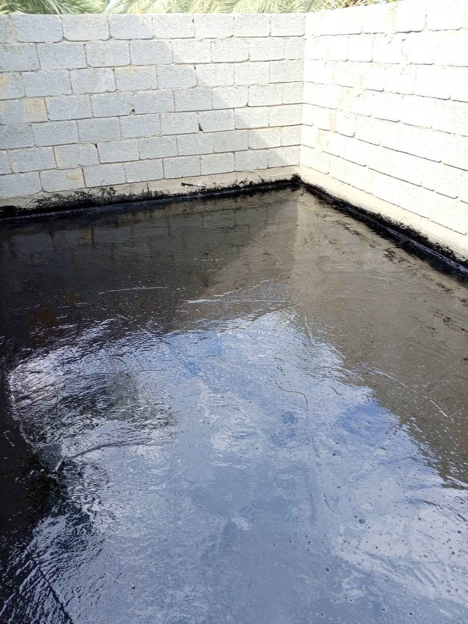 تعلن سكله المنكوشي البيع الكير الدرجه الاولى في محافظة كربلاء اتصال على رقام تاليه 📞***********/***********
