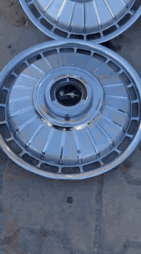 السلام عليكم كبات ابو لاسد للبيع نضافتهن كدام عينك مكاني لبياع ***********
