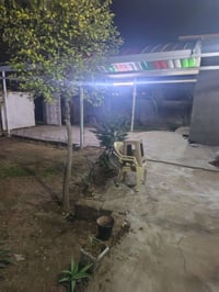 العدوانية • ٤٨٠م • بيت١٩٠م