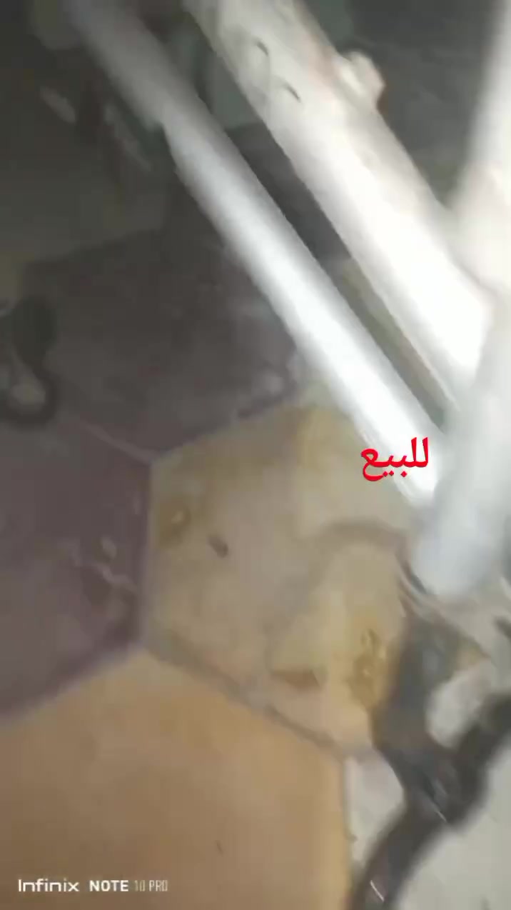 سلام عليكم للبيع بيسكل 26 رصاصي عايزه جوب وتصفية ويل الوراني  غراضه الي عندي جك وراني تاير وراني وبنز ويده بريك وشفت  السعر25 قفل رقمي ***********
