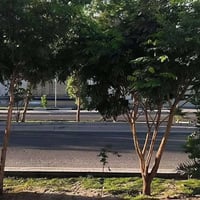 دار البيع حي الجهاد  ديوان الظباط على اربع شوراع ماكو جيران كدامك  مسا...