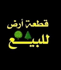 طويريج • ٢٣٠م • طابو زراعي