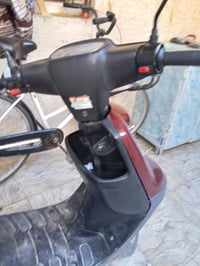 بطة • ٢٠٠٣ • كفالة شاصي