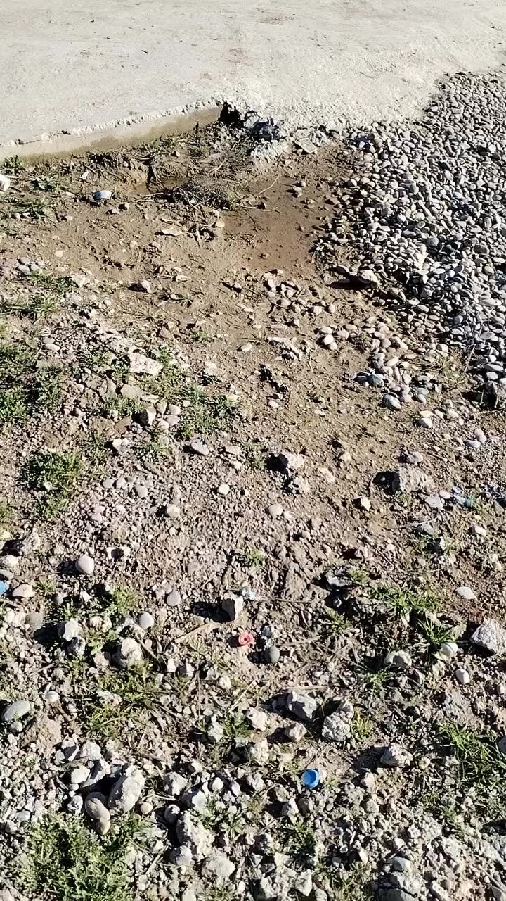 فركسن ١٩٩٩ جاهزه علا شقل رقم انكليزي كركوك سعر ٣٨ وبيها مجال الشراي يتصل *********** /*********** عنوان موصل طريق ربيعه
