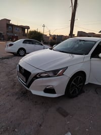 التيما • ٢٠٢٠ • رقم اربيل